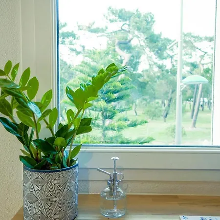Apartment Appart' Cocooning A 100m De La Mer - Mar I Munt
