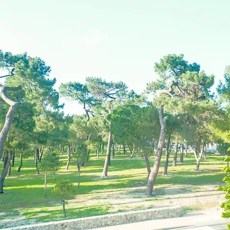 Apartment Appart' Cocooning A 100m De La Mer - Mar I Munt Argeles-sur-Mer